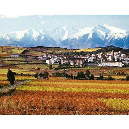 Entre Mer Et Montagne Montner 外观 照片