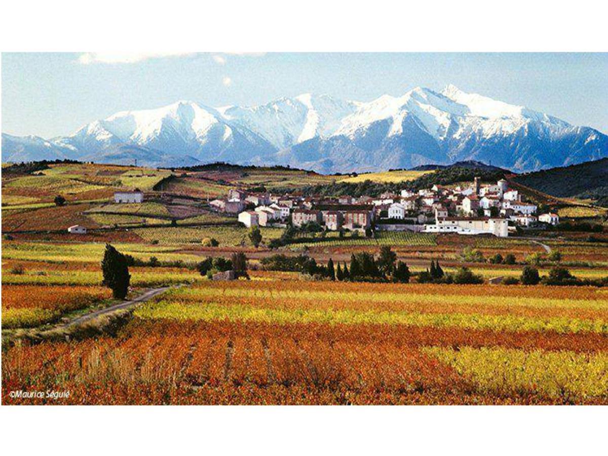 Entre Mer Et Montagne Montner 外观 照片
